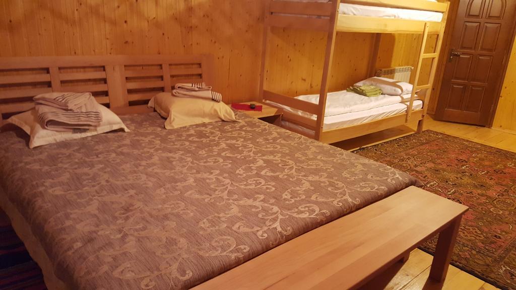 Guest House In Carpathians Мигово Стая снимка